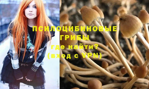 стафф Инта