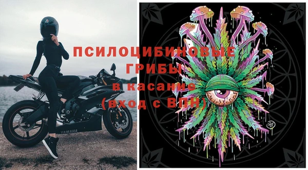 стафф Инта