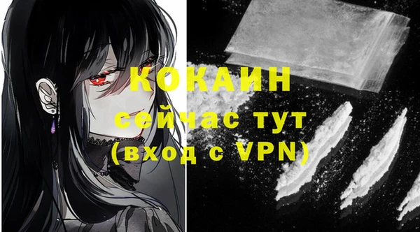стафф Инта